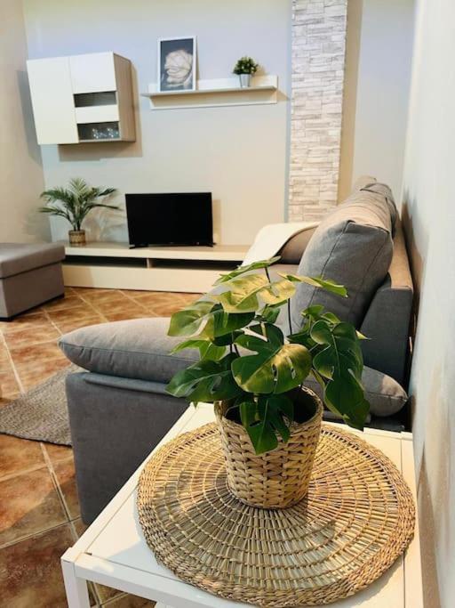 Appartement Casa El Pino B Vera de Erque